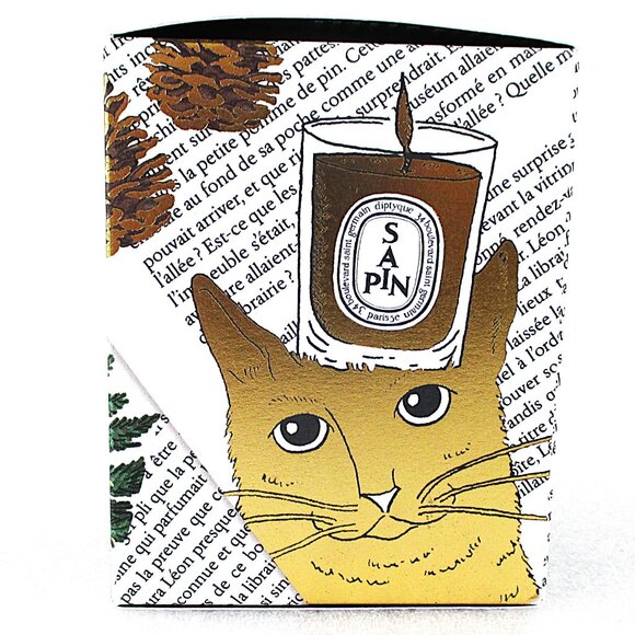 DIPTYQUE GIFT BAG & BOX BUNDLE - Picture 11 of 16